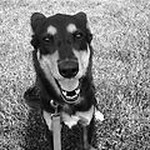 Duke