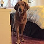 Molly